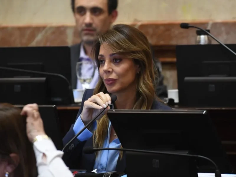 Flavia Royón celebró el avance del nuevo régimen de biocombustibles: “Le da a esta industria una escala que hoy no tiene”